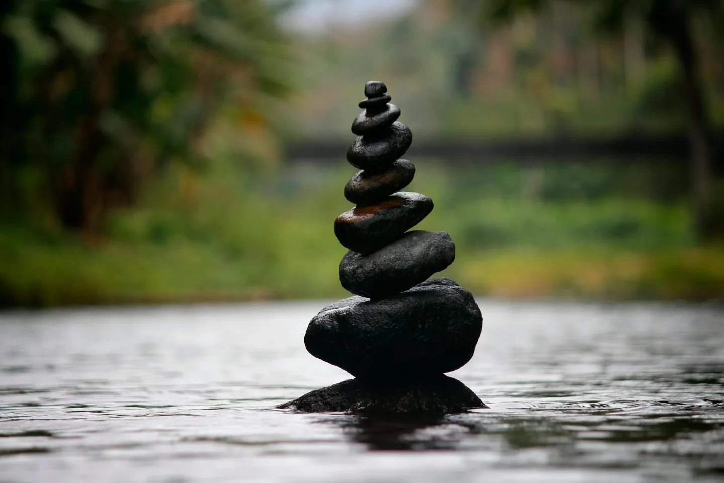 rs=w_1440,h_1440 (6)